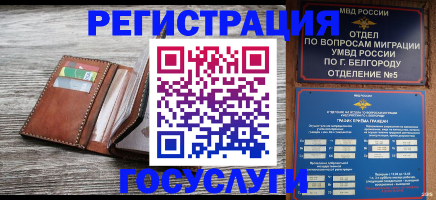 прописка 2025 в Озёрске